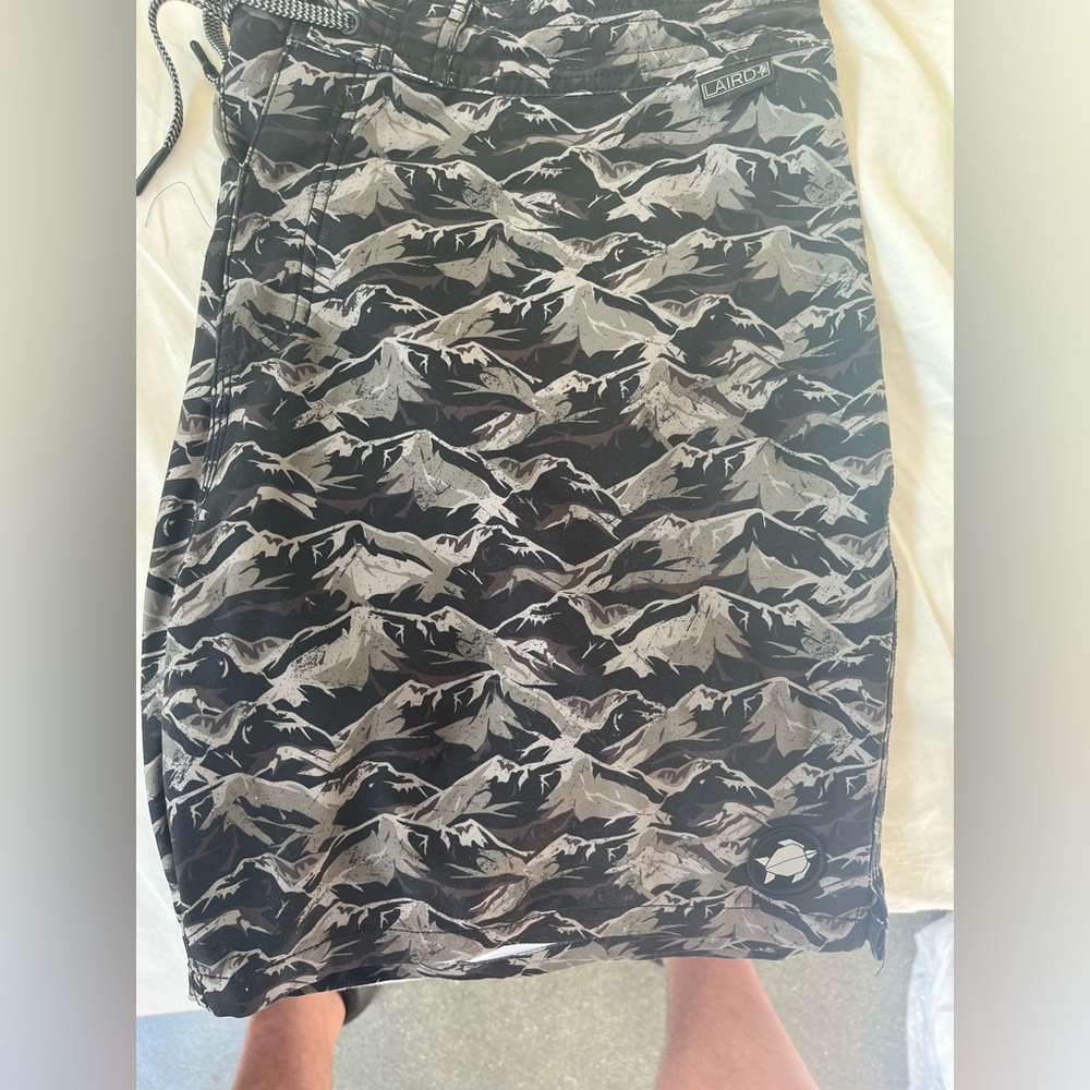 Laird boardshorts